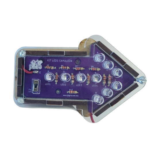 KIT DE LEDS CAMALEON