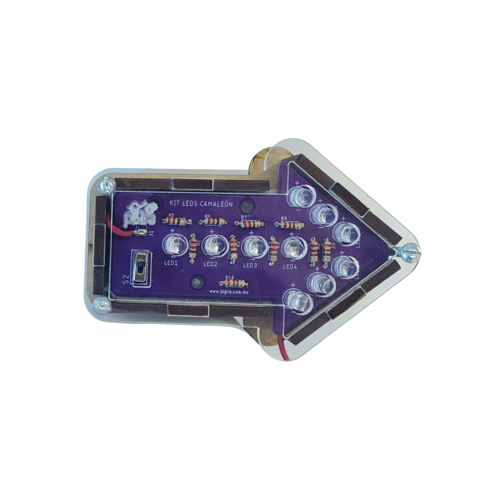KIT DE LEDS CAMALEON